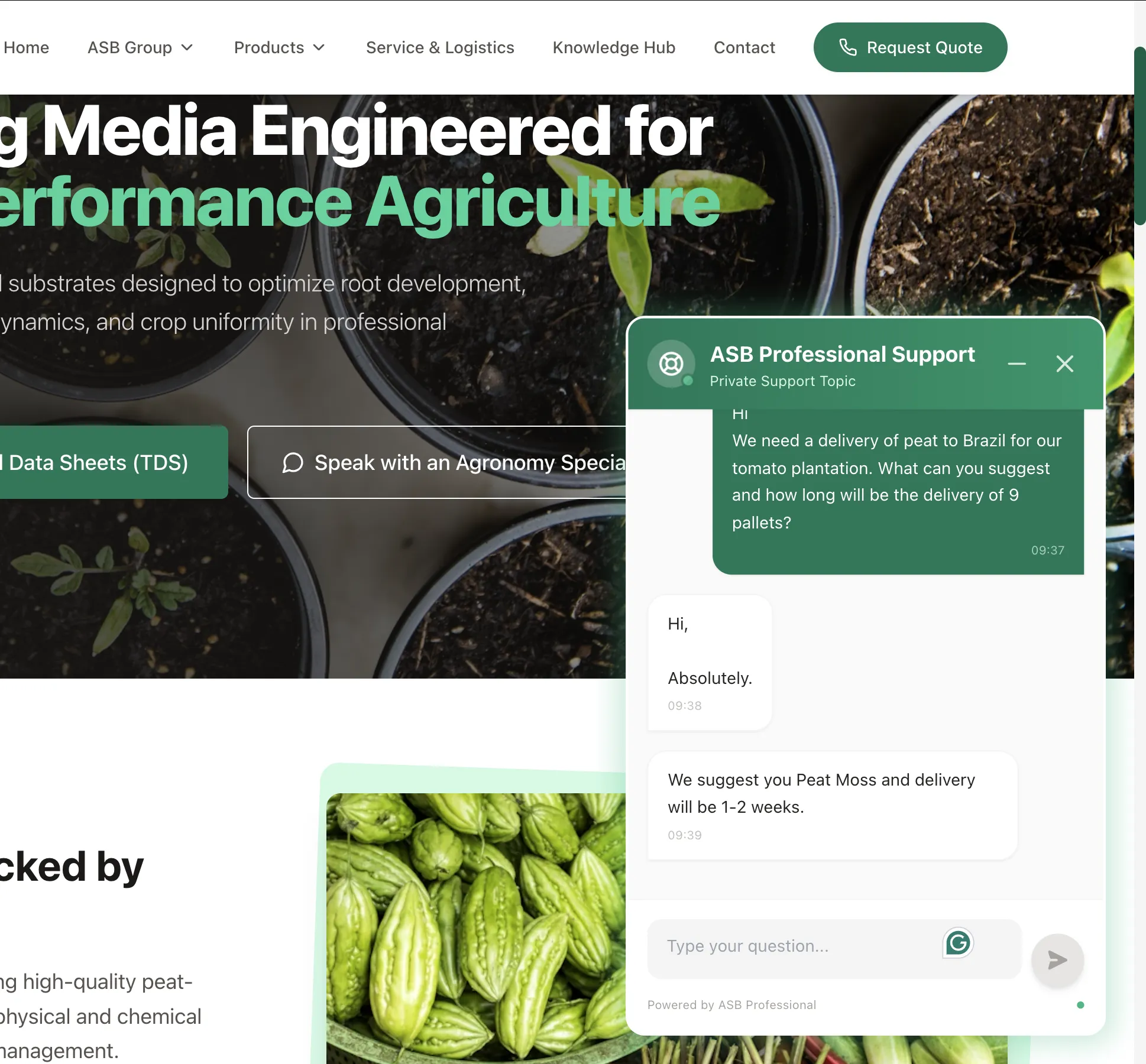 ASB live chat — vastus