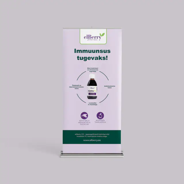 ElBerry Roll-up — print design mockup (2024)